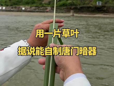 用一片草叶据说能自制唐门暗器