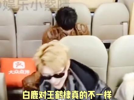 白鹿对王鹤棣真的不一样