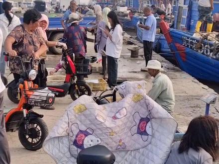 #开海后的第一波海鲜 绝对原汁原味,就一个字新鲜,趁小日本的核废水没到之前赶紧吃吧