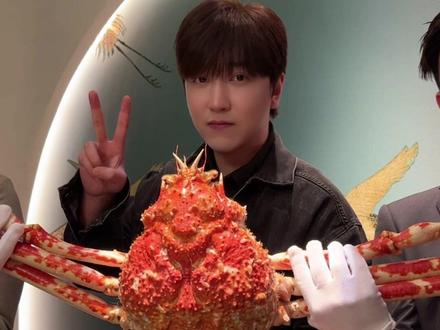 接受粉丝挑战的第136天 世界上目前已知最大的螃蟹品种 蜘蛛蟹 又名S人蟹!