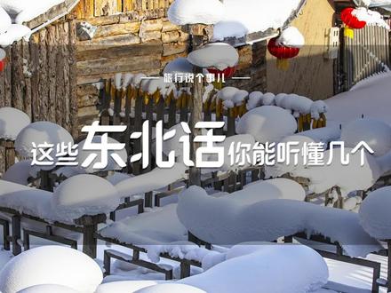 这些个东北话,你能听懂几个?#东北话 #东北话十级 #东北人 #东北 #方言 #冷知识 #旅行冷知识