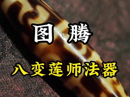 图腾 唯一八变莲师法器天珠 #天珠收藏 #藏品干货 #至纯天珠 #至纯天珠收藏 #莲花生大师
