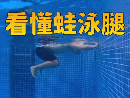 【如何看游泳】3.蛙泳腿的问题怎么去看#游泳健身 #游泳 #蛙泳 #蛙泳腿 #一起来玩水