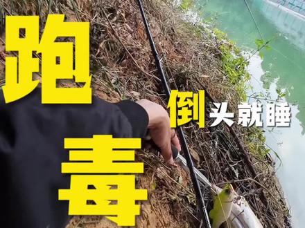 这么紧张的时刻这队友怎么倒头就睡了#路亚 #岸枭 #路亚跑毒