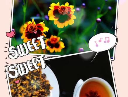 雪菊茶的功效作用及禁忌!