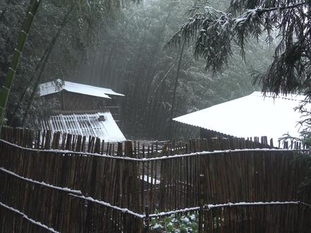 瑞雪兆丰年,今年接连下了3场雪,用雪水泡盐蛋还是奶奶教我的! #农村生活 #民间传统美食