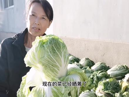 快看酸菜萝卜一缸淹,步骤简单清晰,好吃无添加