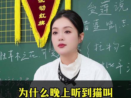 为什么晚上听到猫叫千万不要去看它或者理它?