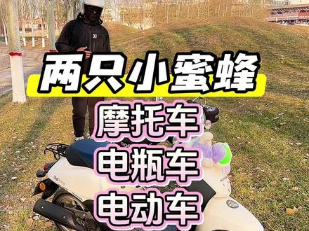 #一盔一带 #头盔 #两只小蜜蜂头盔 #电瓶车 #摩托车 生活中大多数场景我会佩戴【两只小蜜蜂】的头盔!轻巧、方便、便捷、安全、功能完善✅!