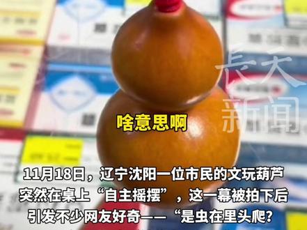 收藏多年的文玩葫芦忽然“活了,莫名摇摆半天后去查底细#万万没想到