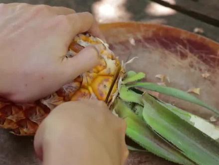 菠萝泡盐水再吃就不“扎”嘴?真相是?#政媒原创作者联盟 #水果 #科普