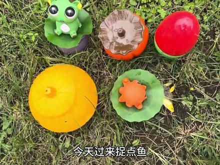 认识小乌龟、金鱼 #小乌龟 #金鱼