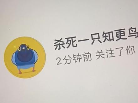 我画的鸽子很曼妙#画头像#宠粉#疯狂的鸽子