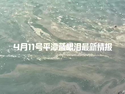 4月11日平潭蓝眼泪最新情报 今天温度不错 晚上有概率小爆发#蓝色荧光海 #蓝眼泪 #平潭蓝眼泪 #平潭蓝眼泪预报 #夜晚的海边