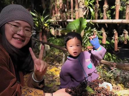 偶遇拐枣,享受大自然的馈赠✌️#拐枣