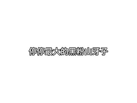 停停的名声都被山牙子搞臭了 什么?你问有多臭? 和山牙子的jio一样臭#破云 #猫耳fm #江停严峫