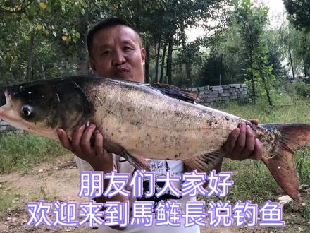 抛竿钓鲢鳙,马鲢长手把手教你抛竿的选择技巧和方法