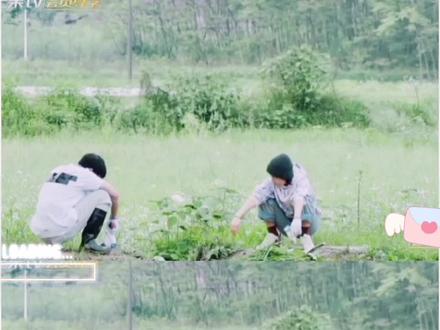 享受这一刻的宁静#彭昱畅#张子枫