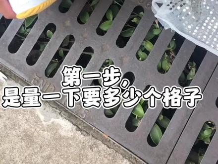 狮鞋教程,做的不怎么好看,只是告诉你们狮鞋简简单单的做法,不会做就收藏下来#醒狮文化 #因为热爱所以坚持 #现场实拍 #舞狮