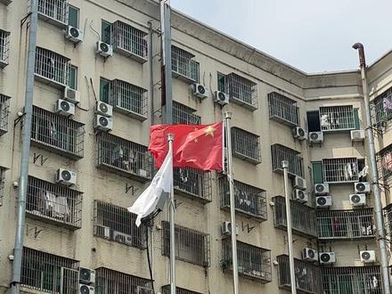 收到好多私信,大家都说让我自己唱国歌会更快得到回应,就再试了一次,刚唱到「英雄的人民站起来了」,突然一阵风卷过,国旗飘起来了,真的是先辈们在回应我们啊。
#国旗迎风飘扬的样子真美 #创作者中心 #创作灵感
