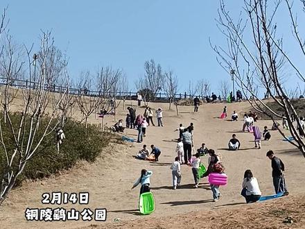 铜陵又一儿童游乐好去处!快带孩子来鹞山公园滑草吧! #铜陵 #寻美铜陵 #鹞山公园 #铜陵网 #带娃