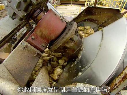 白糖是怎么制造的?先将这种原料切成细条,再倒入20米高的水塔中 #白糖 #纪录片解说 #甜菜 #制造的原理
