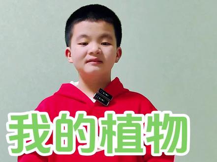 三年级下语文作文,我的植物朋友—菊花#朗诵 #三年级下册语文 #我的植物朋友作文 #语文