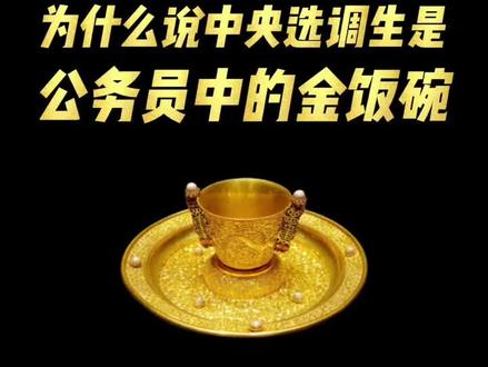 中央选调生——公务员中的vip,真正的金饭碗#选调生#大学生#公考 #大学