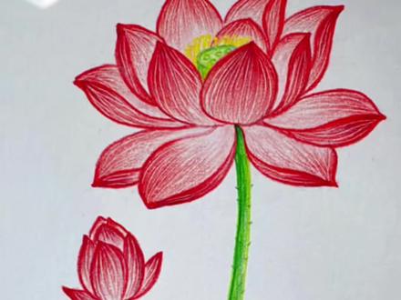 万能的椭圆今天教你画荷花 #零基础学画画#荷花 #一学就会的简笔画 #创作者中心 #创作灵感