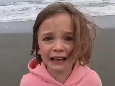 金毛狗 #狗狗#金毛#感动#剧情