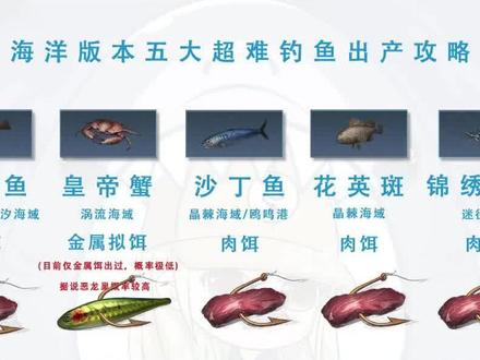 【明日之后第四季】海洋稀有鱼获取攻略,比目鱼,沙丁鱼,花英斑,皇帝蟹,锦绣龙虾怎么钓?#明日之后 #明日之后第四季 #明日之后深海巨浪