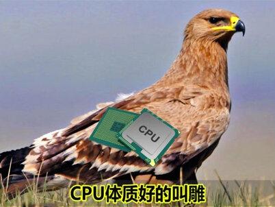 电脑圈名梗之雕雷体!#电脑 #电脑知识 #电脑知识 #梗百科
