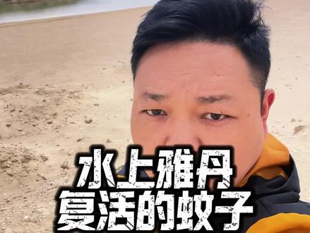 雅丹蚊子复活了 水上雅丹的蚊子复活了,今夏最大愿望,蚊子不吸血,只吸脂肪,蚊子们,来吧#青甘大环线 #青海美好推荐官 #旅游攻略 #水上雅丹 #生命树