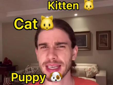 Puppy,Kitten,Dog,Cat它们都有什么区别呢? #英语 #外教 #学英语 @DOU+小助手