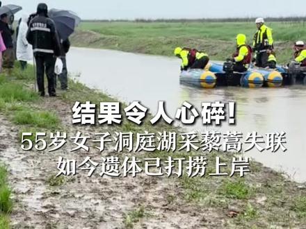 结果令人心碎! 55岁女子洞庭湖采藜蒿失联 如今遗体已打捞上岸 家属守湖边寻找,一声声“妈妈”太催泪