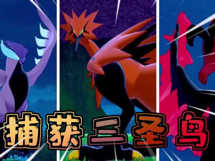 王冠雪原:神鸟宝可梦传说完成,就是这三圣鸟属性,太坑了吧!