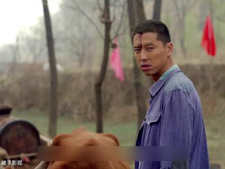 少安放倒老黄牛