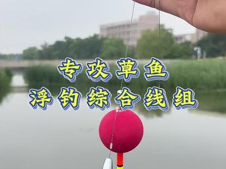 专供草鱼浮钓线组,不用再单独凑配件,海竿路滑路亚也能用,还能搭配双钩钓鲢鳙,一线多用!#浮钓草鱼线组 #浮钓草鱼 #草鱼线组 #鲢鳙线组