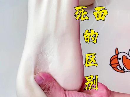 烫面,半烫面,发面,死面的区别与用途#面食分享 #美食 #面食教程