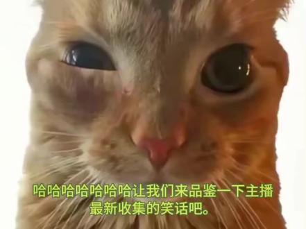 库里库里库里库里 #张函瑞 #墩子 哇塞,我的哥哥像科比