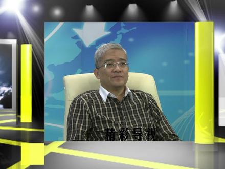 真敢说的郎咸平:电力经济改革寸步难行吗?(经典版)