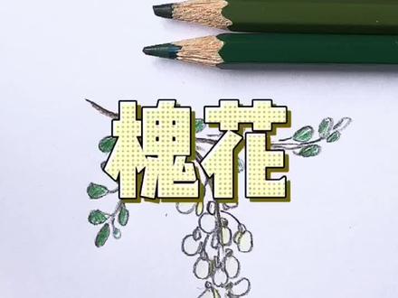 🍓教你画槐花#简笔画教程 #一起学画画 #随手画 #儿童简笔画 #画画