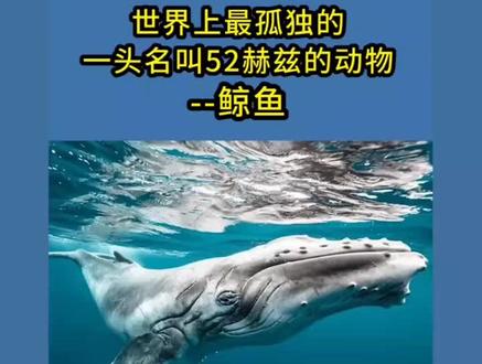 #抖出我的艺术绘画过程分享 #座头鲸画法😉这些年支撑你画画的动力是什么?是理想?渴望?诗金钱?还是……