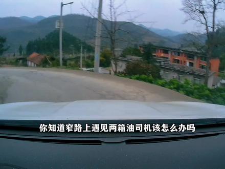 这样的司机上路就是害人害己!#开车#会车