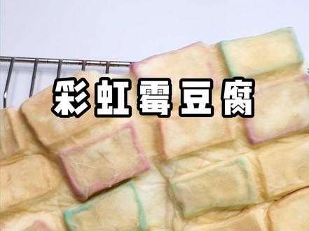 是谁在全网找彩虹霉豆腐后续 #霉豆腐 #霉豆腐制作 #彩虹霉豆腐