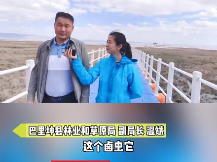 巴里坤湖里的宝贝之一卤虫(丰年虫)@抖音小助手 @DOU+小助手