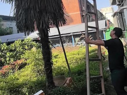 上午发布的猫咪被困视频,牵动了三十万网友的心,真的特别感谢大家的暖心关注与牵挂!好消息来啦,被困的小猫咪已经成功获救,平安无事,大家可以放心啦!