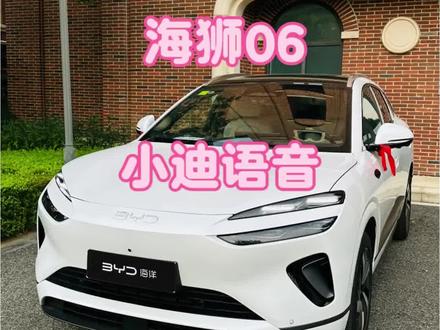 咱们海狮06的小迪语音有哪些隐藏玩法,一个视频告诉你#比亚迪 #海狮06 #小迪语音 #用车知识 #用车日常