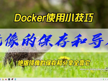 Docker使用小技巧~镜像的保存和导入,绝版镜像的保存分享全靠它~ #docker #镜像 #保存 #导入