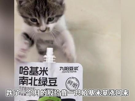 九阳哈基米南北绿豆豆浆卖断货,品客生不逢时投降太早当场破防